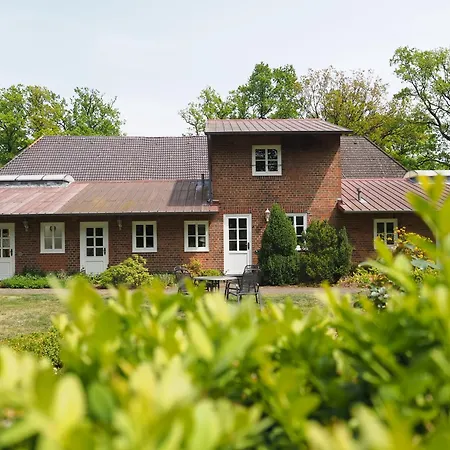 Heidehof Carstens - Wacholder *