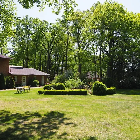 Apartment Heidehof Carstens - Wacholder *