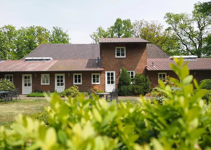 Heidehof Carstens - Wacholder *